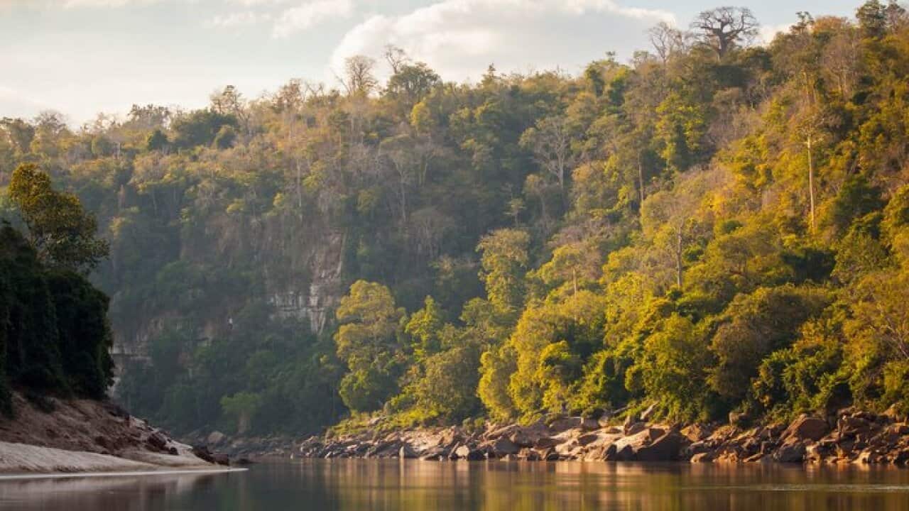 AAP Image/Greg Armfield, WWF