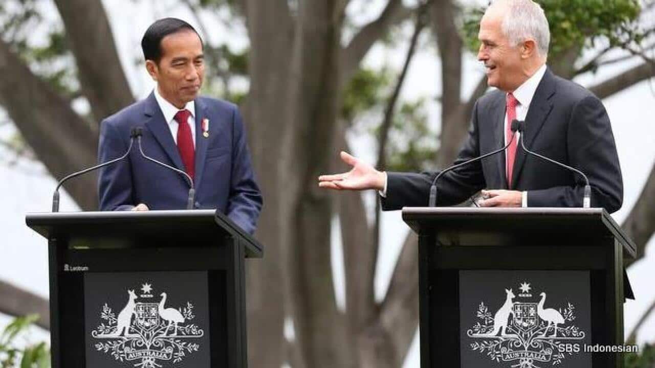 Prime Minister Malcolm Turnbull (right) gestures as he speaks as Indonesia President Joko Widodo looks on during a media conference in Sydney (AAP Image/David Moir.)