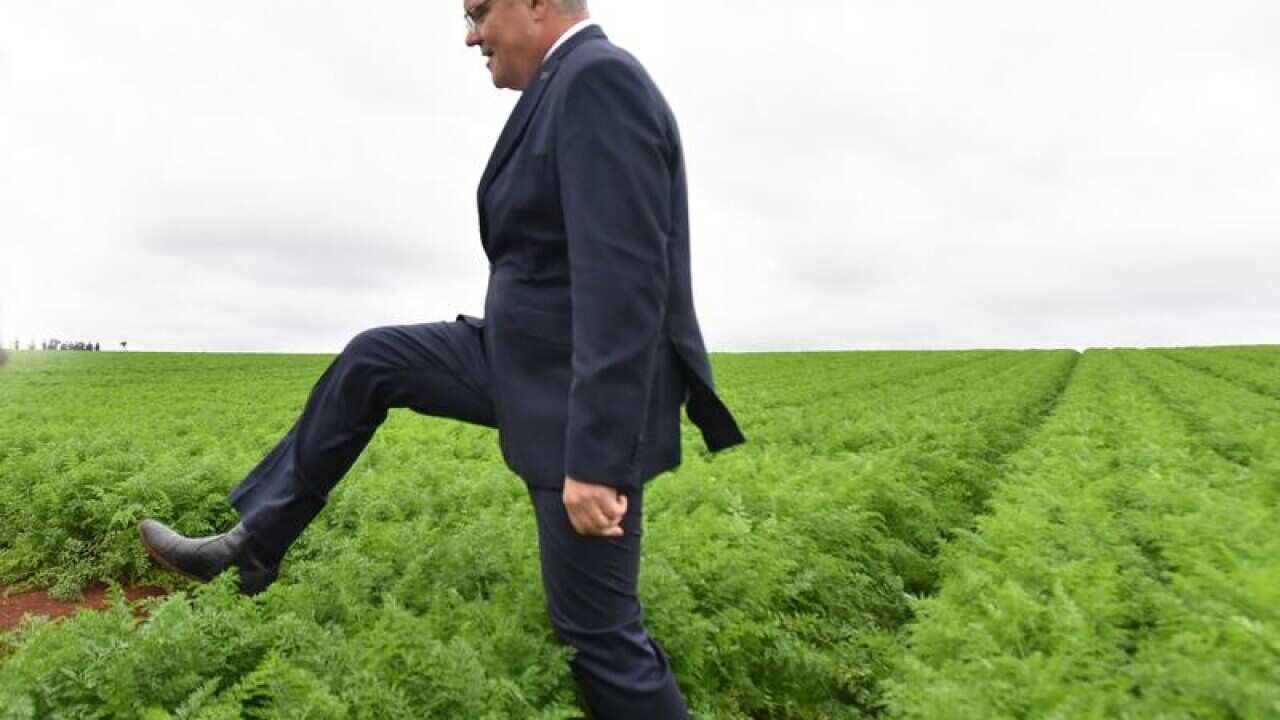 Prime Minister Scott Morrison at a farm in Tasmania