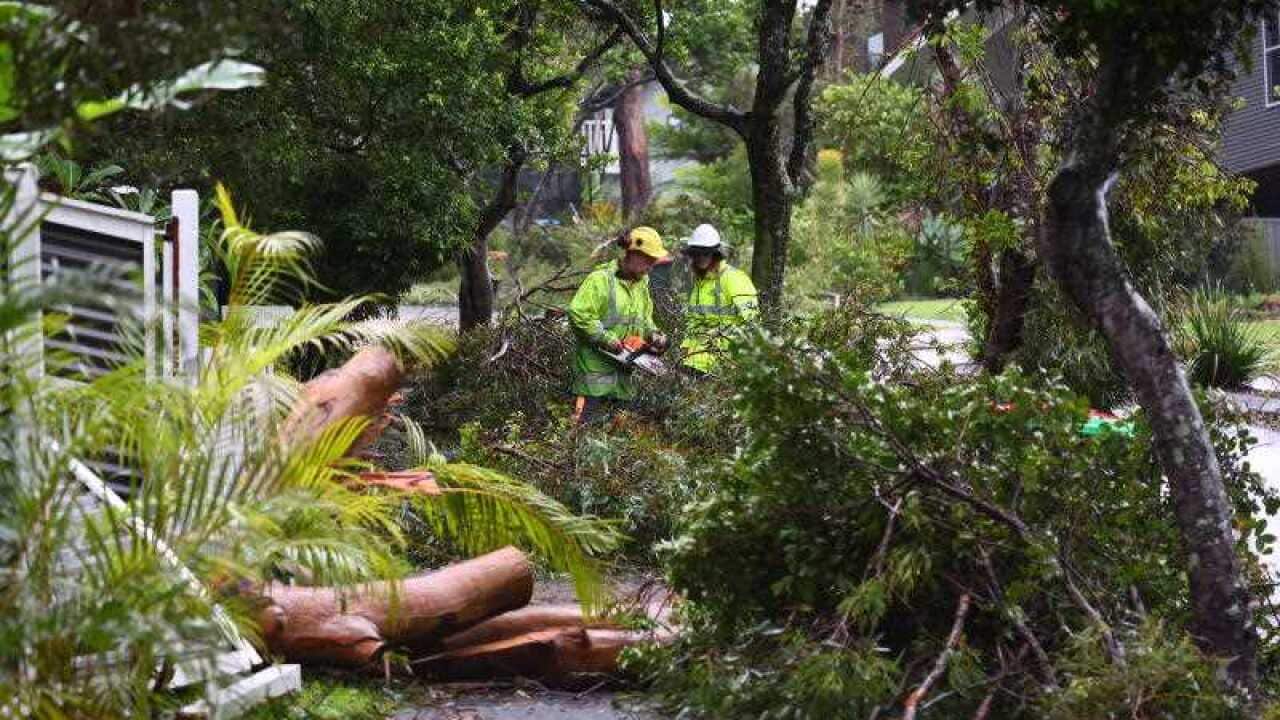 EX-TROPICAL CYCLONE ALFRED
