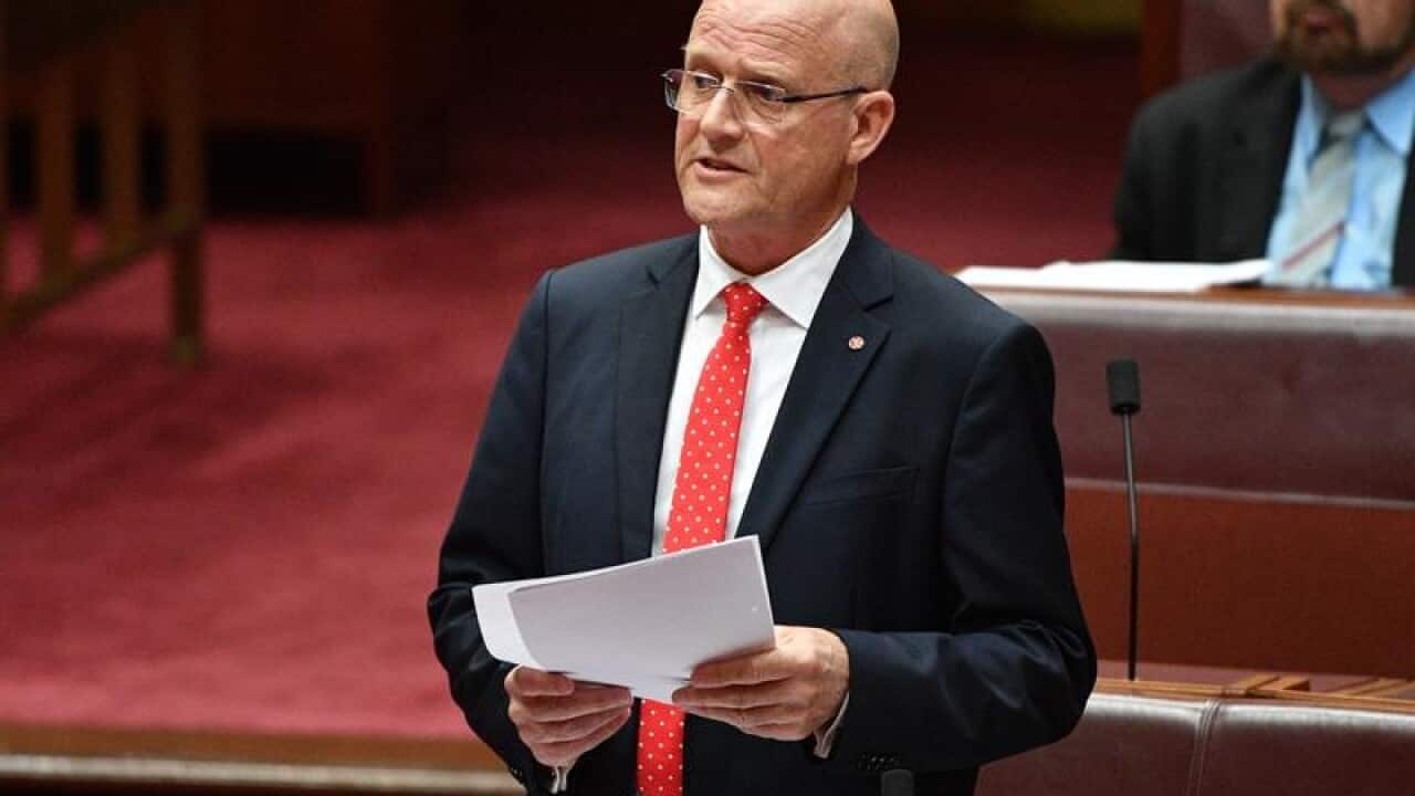 Liberal Democratic Party Senator David Leyonhjelm in parliament.
