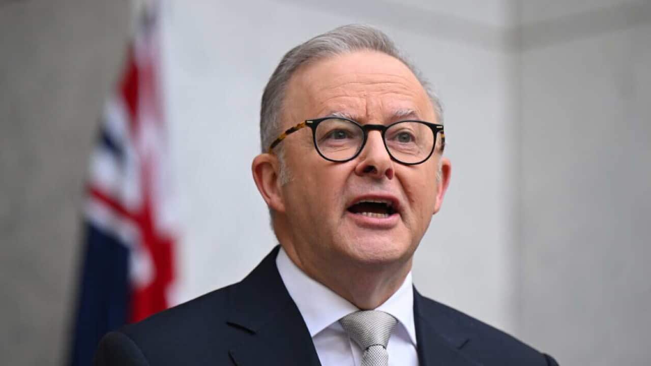 SBS新闻快报】澳洲总理正式宣布5月3日大选总督解散议会| SBS Chinese