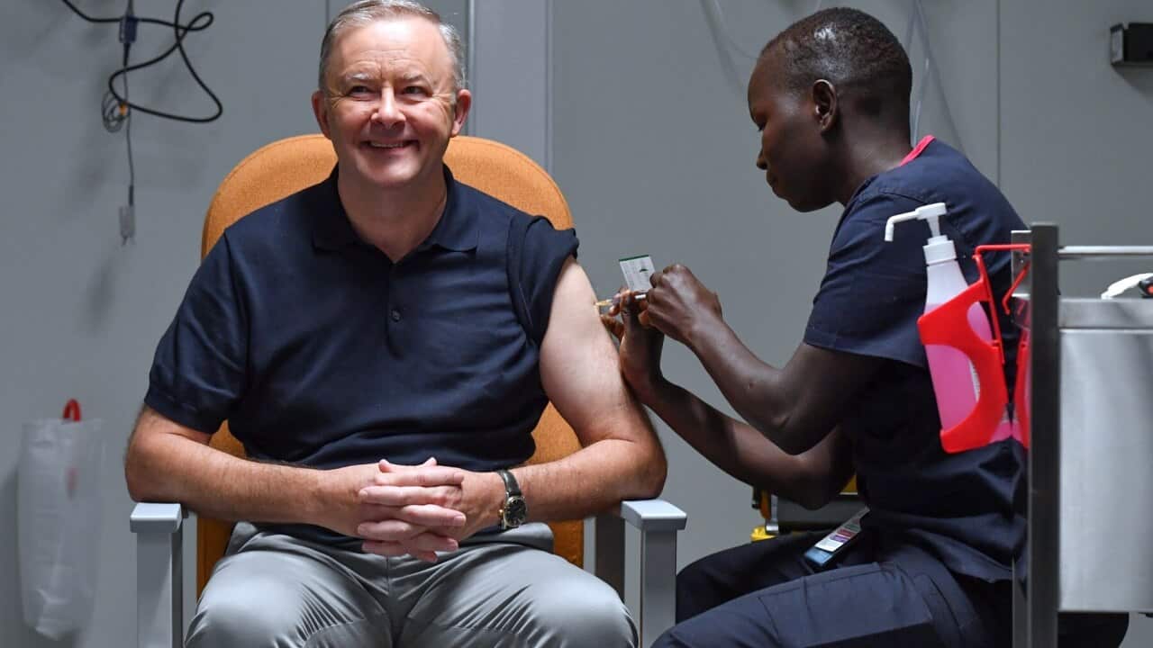Leader of the Opposition Anthony Albanese receives his COVID-19 vaccine injection