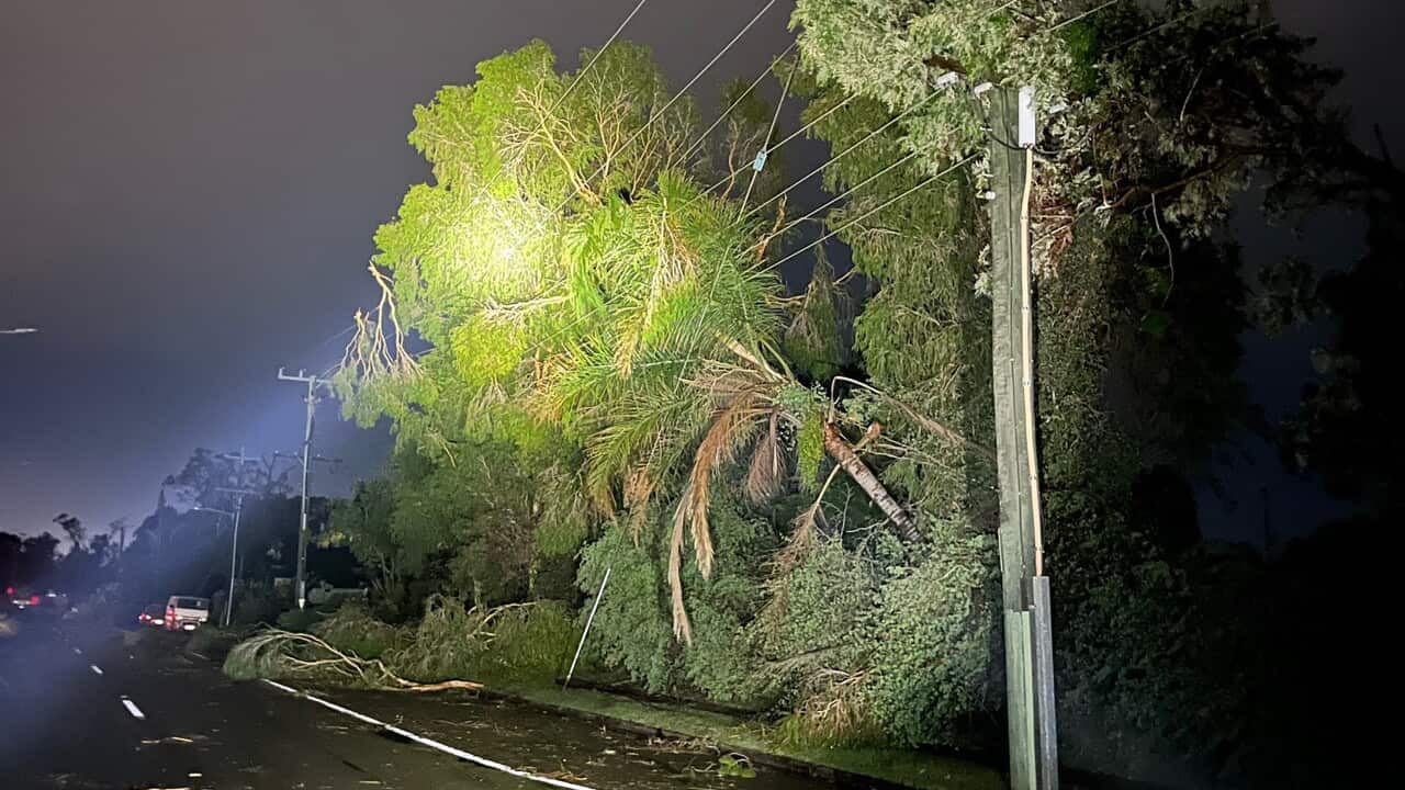 Gold Coast woman killed by tree during severe Christmas Day storms on east coast - Vimarsana News