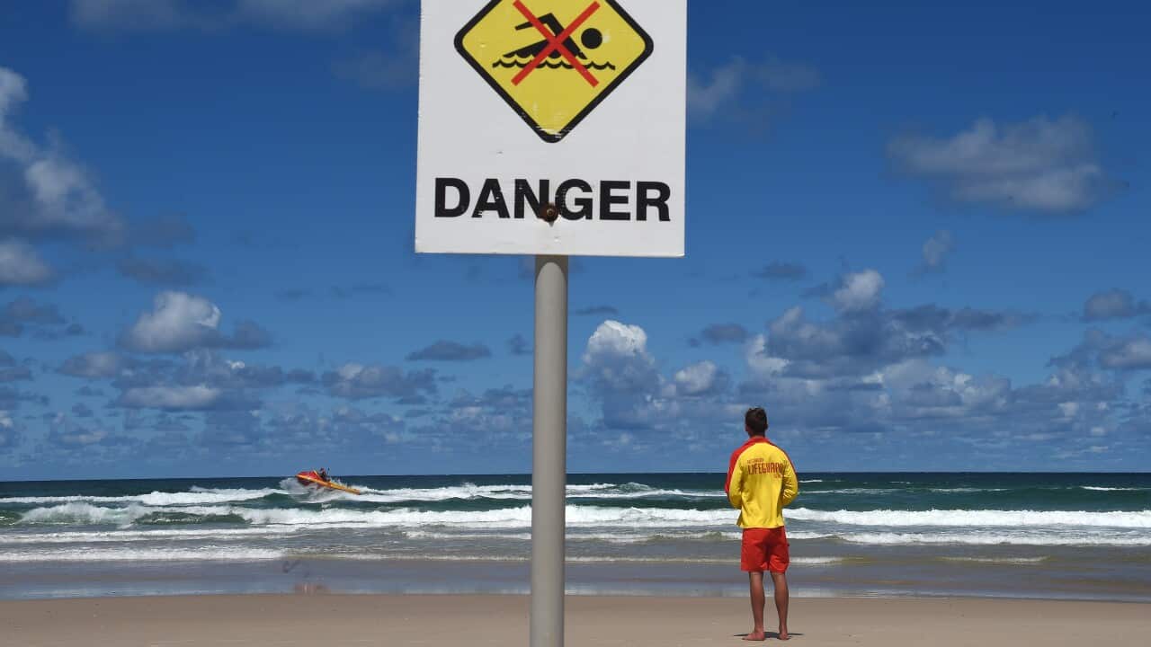 SHARK ATTACK BALLINA