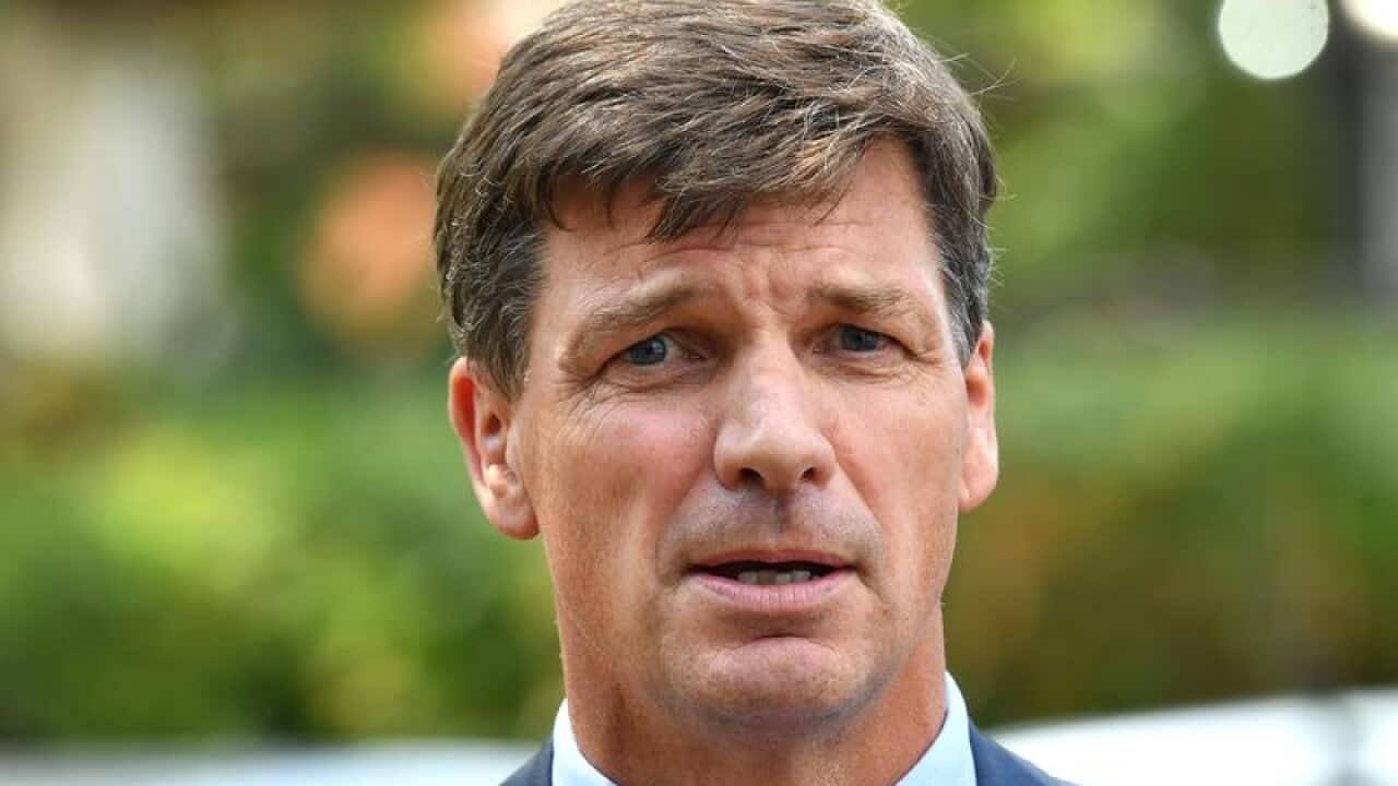 Energy Minister Angus Taylor