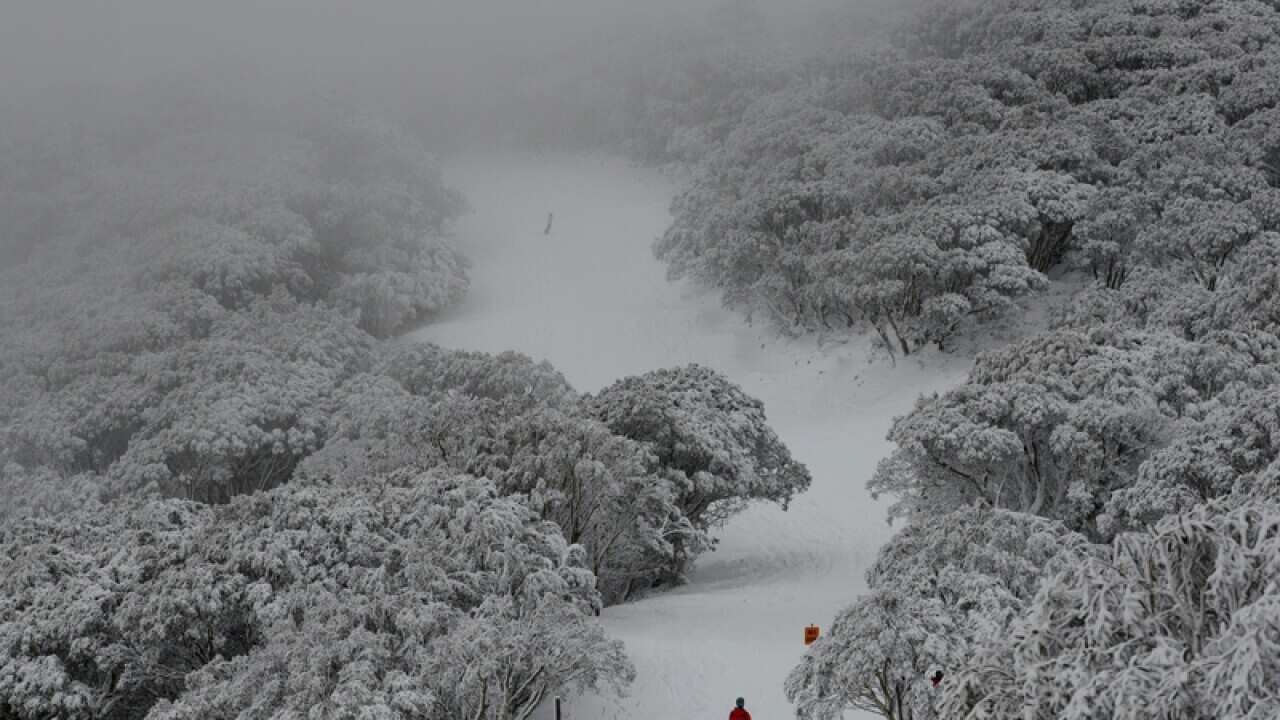 Skiers enjoying the wintery weather