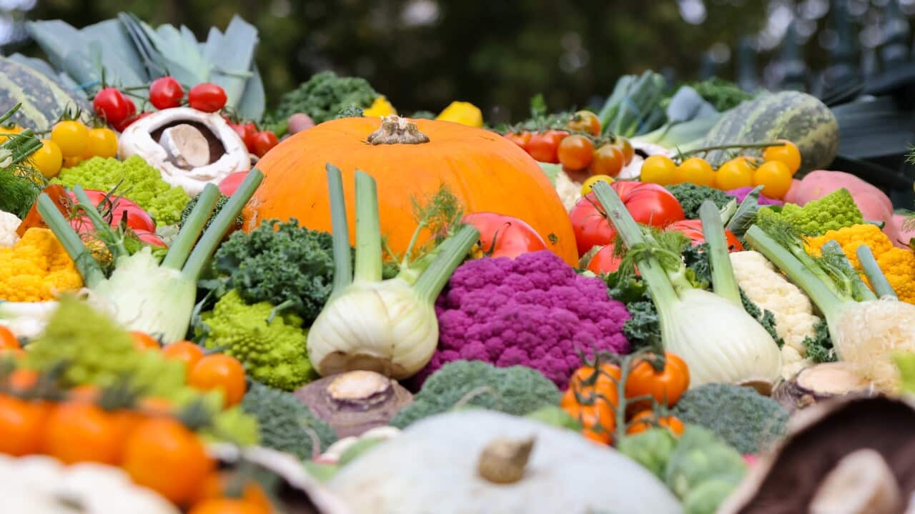 The National Harvest Festival Service. London, UK - 16 Oct 2025