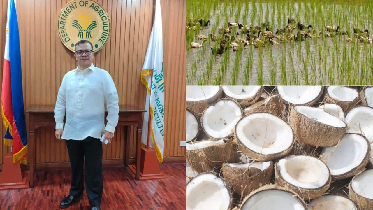 Image for read more article 'RELATED CONTENT'