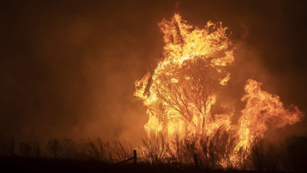 Bushfires were a challenging start to Australia's year