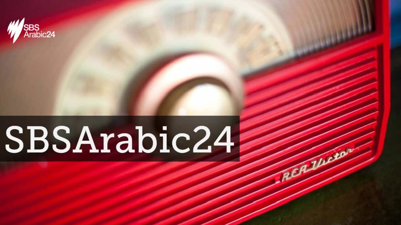 SBS Arabic 24