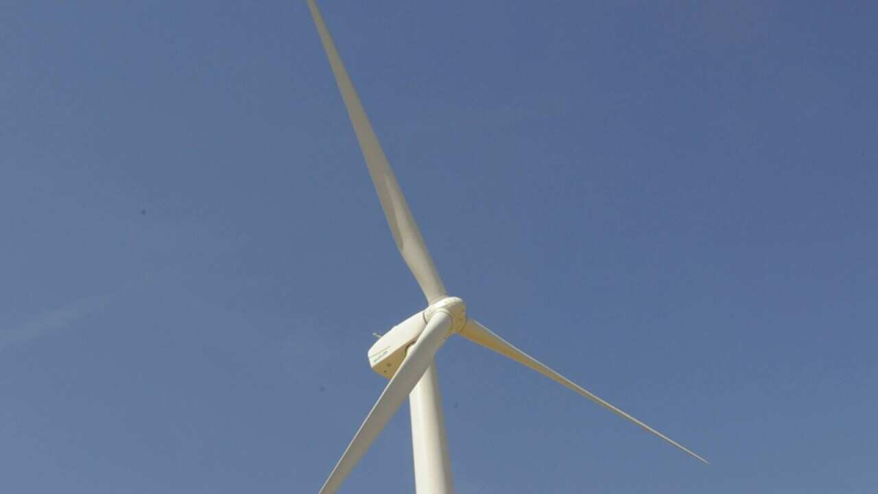 Infigen wind farm
