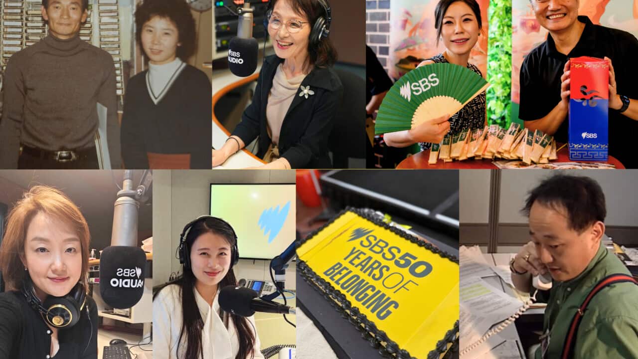 SBS 50 (1).png