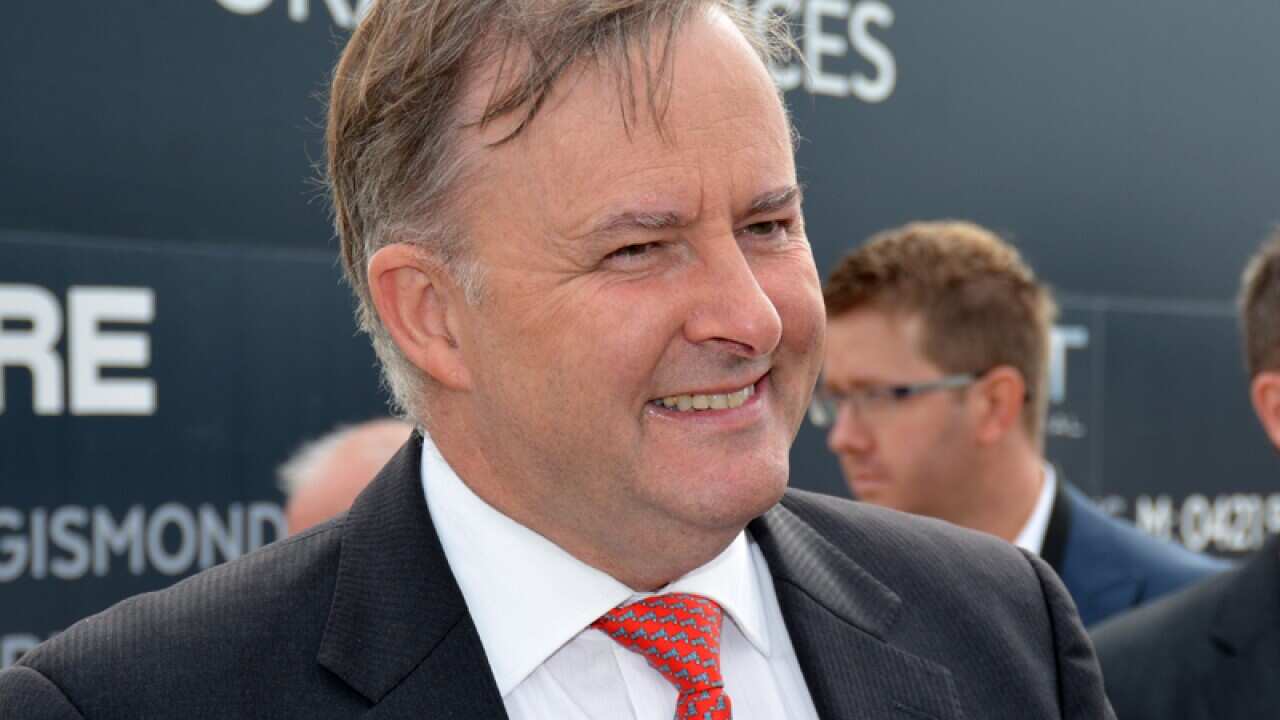 Anthony Albanese