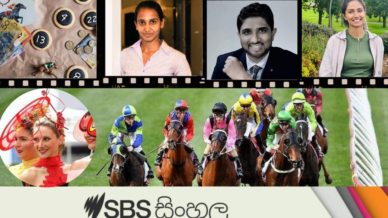 Melbourne cup day 2023_controversial aspects.jpg