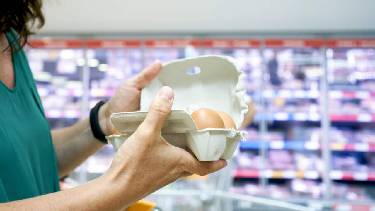 side view of a woman in casual clothes standing in a supermarket holding a carton of eggs.