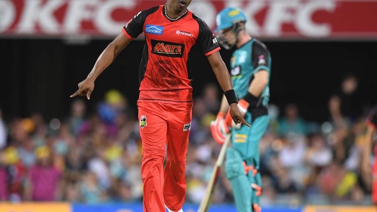 CRICKET BBL HEAT RENEGADES BRAVO
