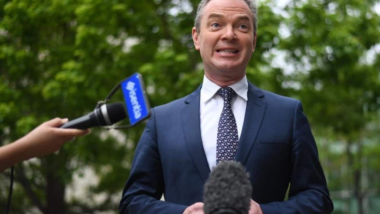 The Leader of the House Christopher Pyne speaks to the media