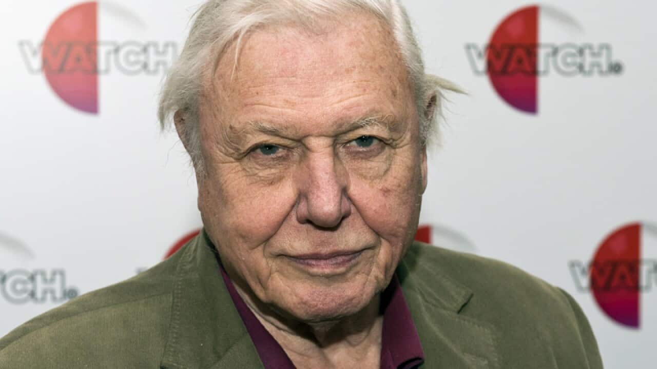 Sir David Attenborough