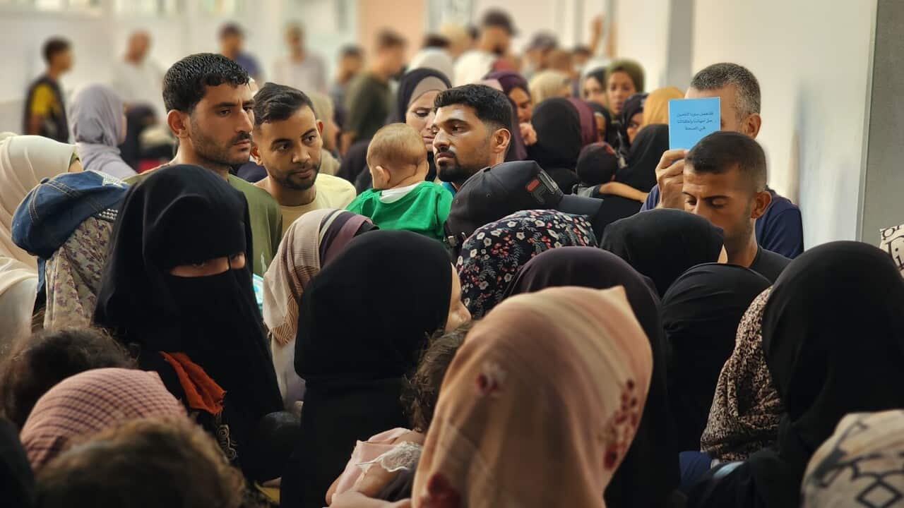 A crowd of families wait to have their children receive a vaccine in Gaza.