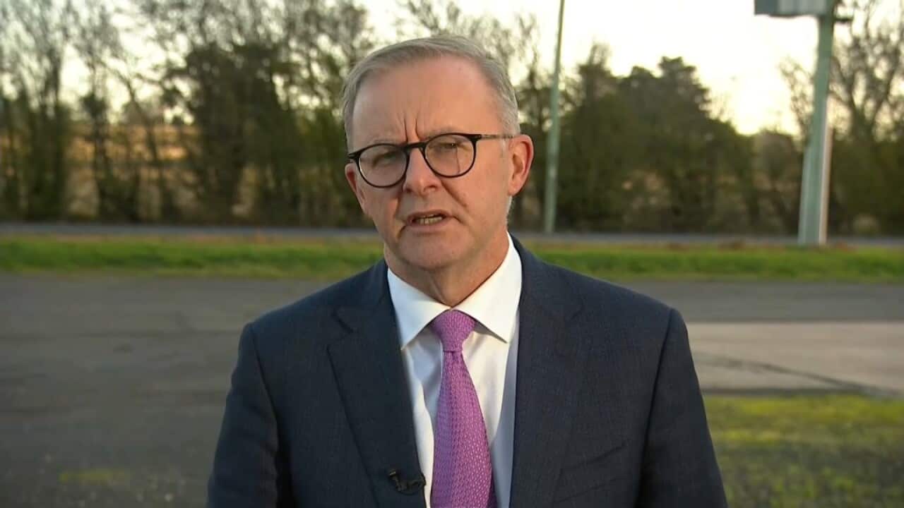 Labour leader Anthony Albanese