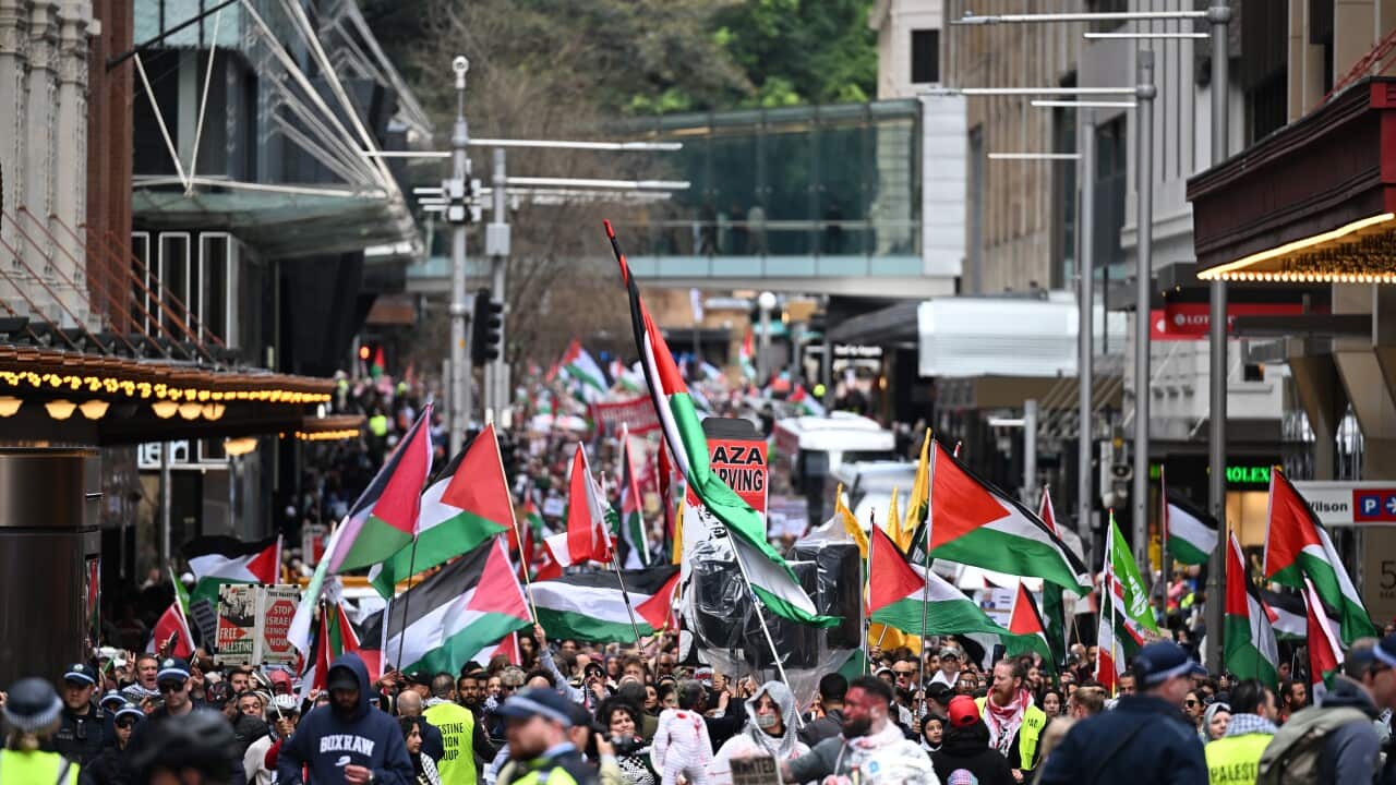 Image for read more article 'READ MORE'