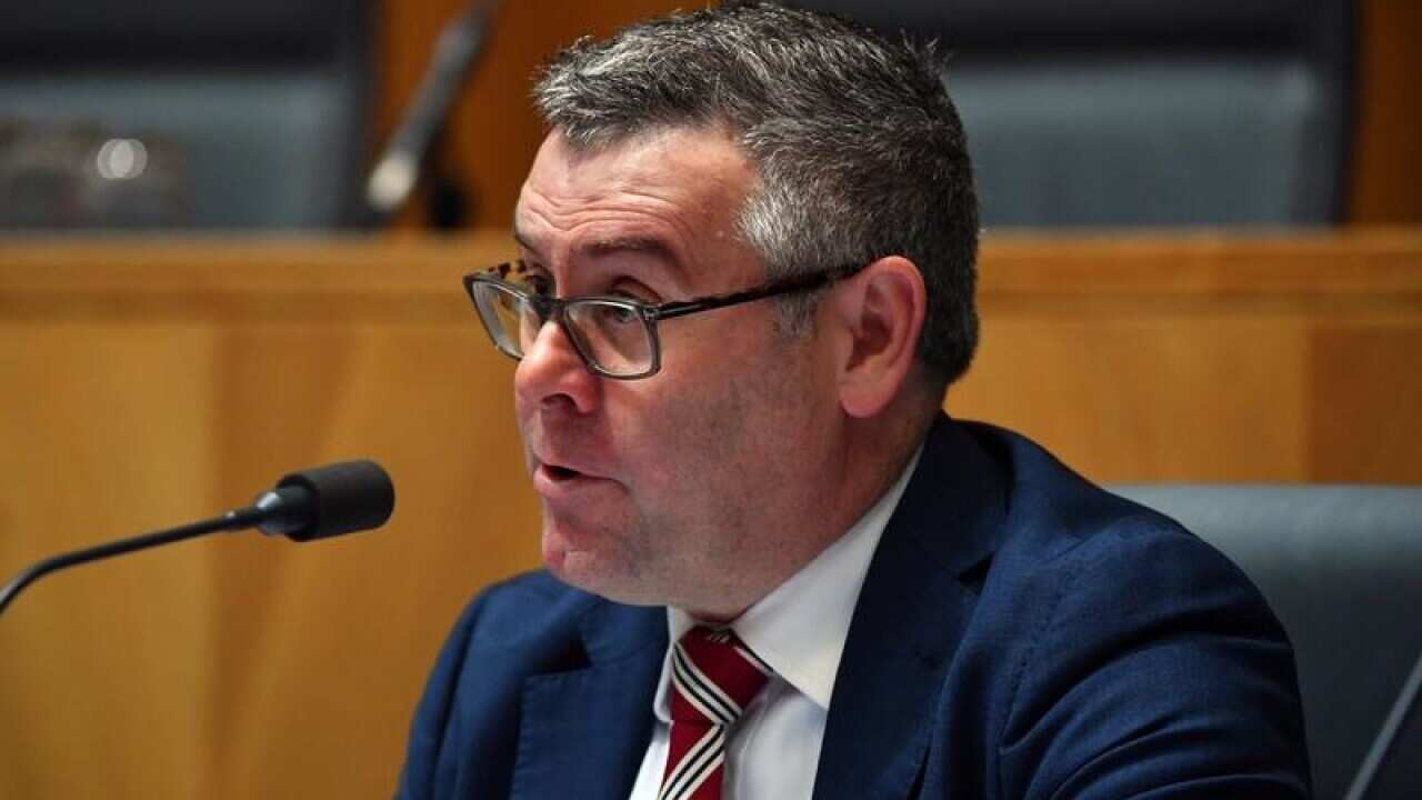 Labor Senator Murray Watt at a Senate estimates hearing