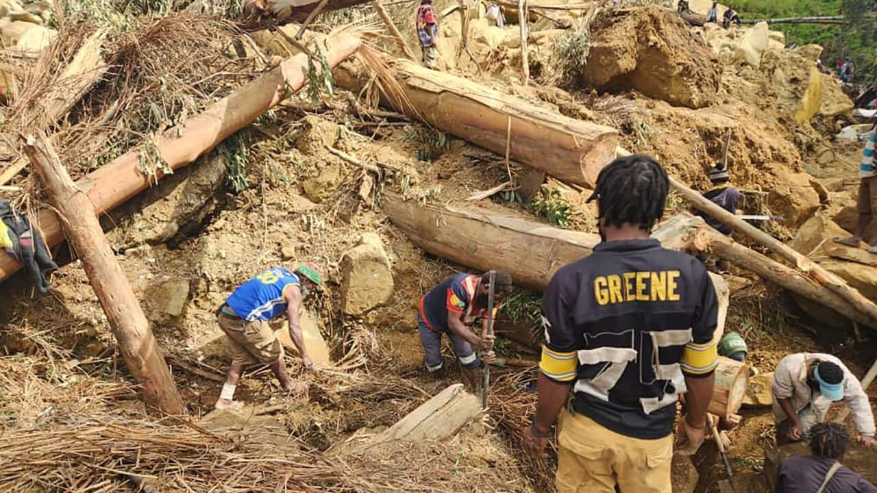 Image for read more article 'READ MORE'