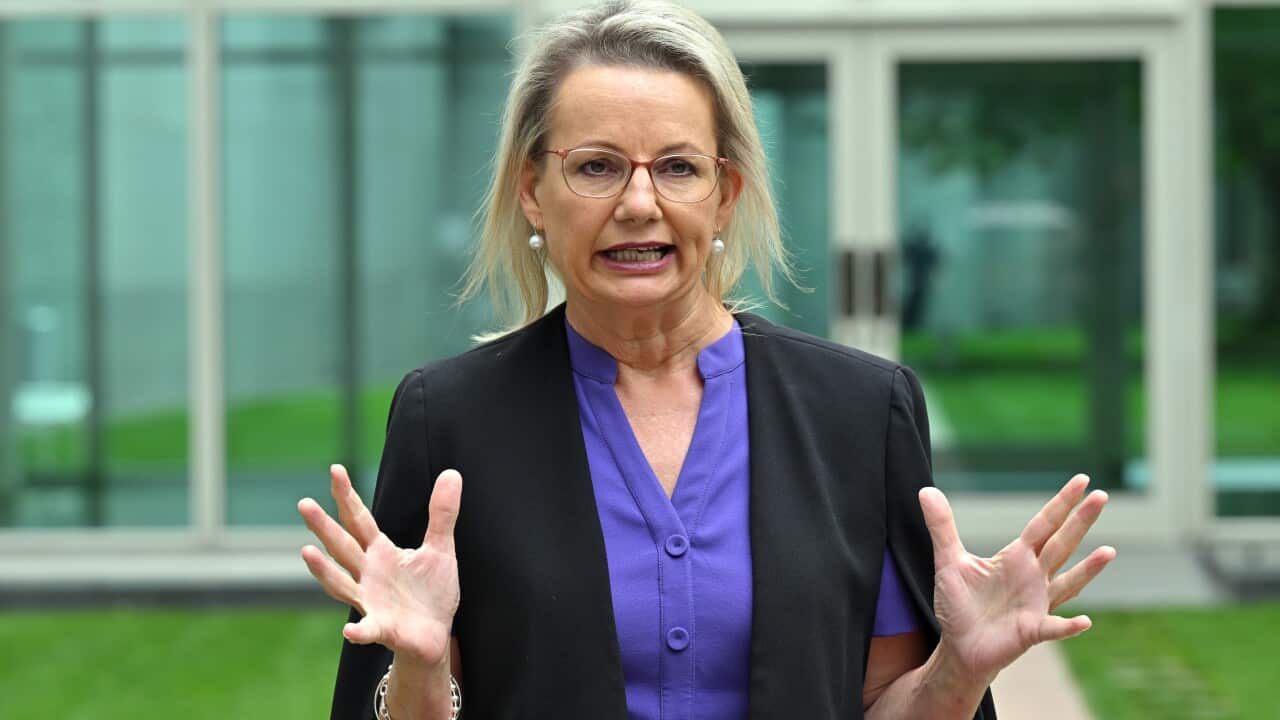 A woman in an open black blazer worn over a blue shirt speaks with both hands raised.