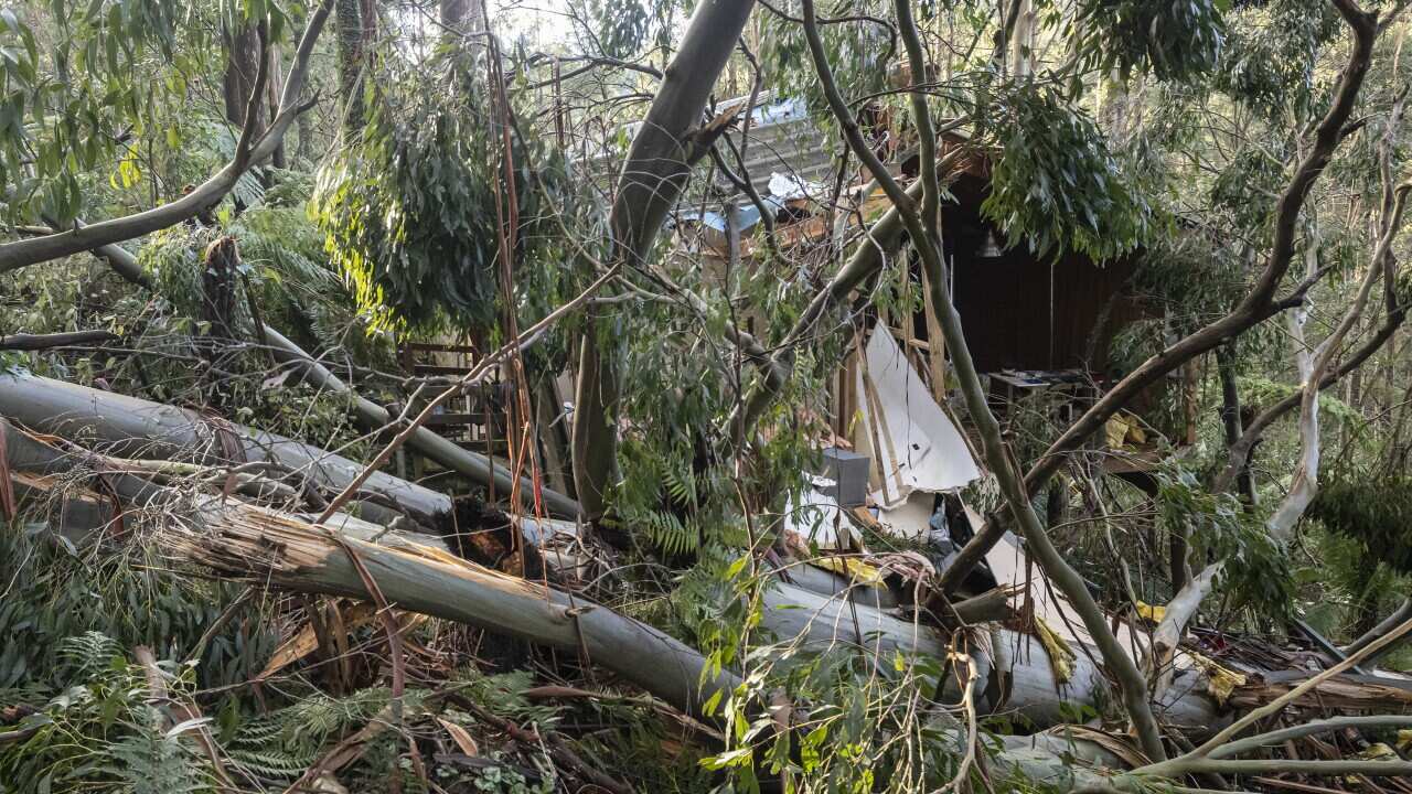 Thousands in Victoria left without power after wild storms eligible for ...