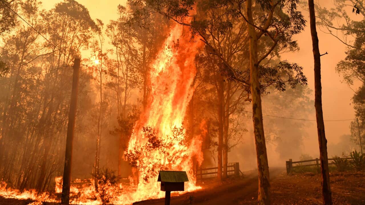 Image for read more article ''