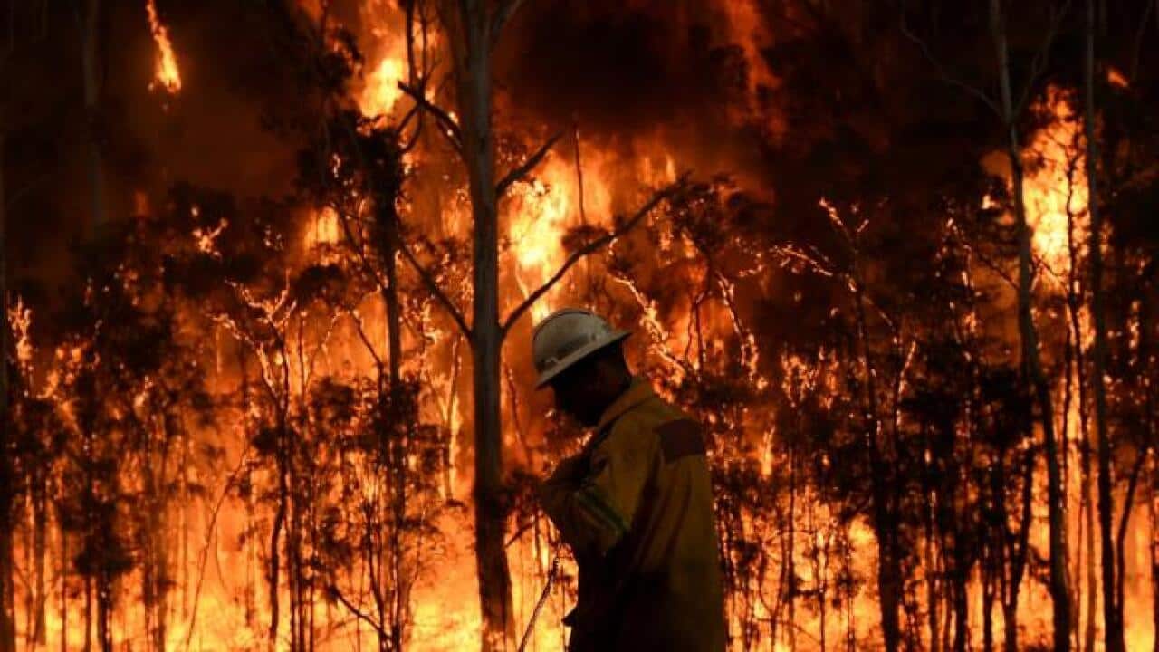 NSW BUSHFIRE