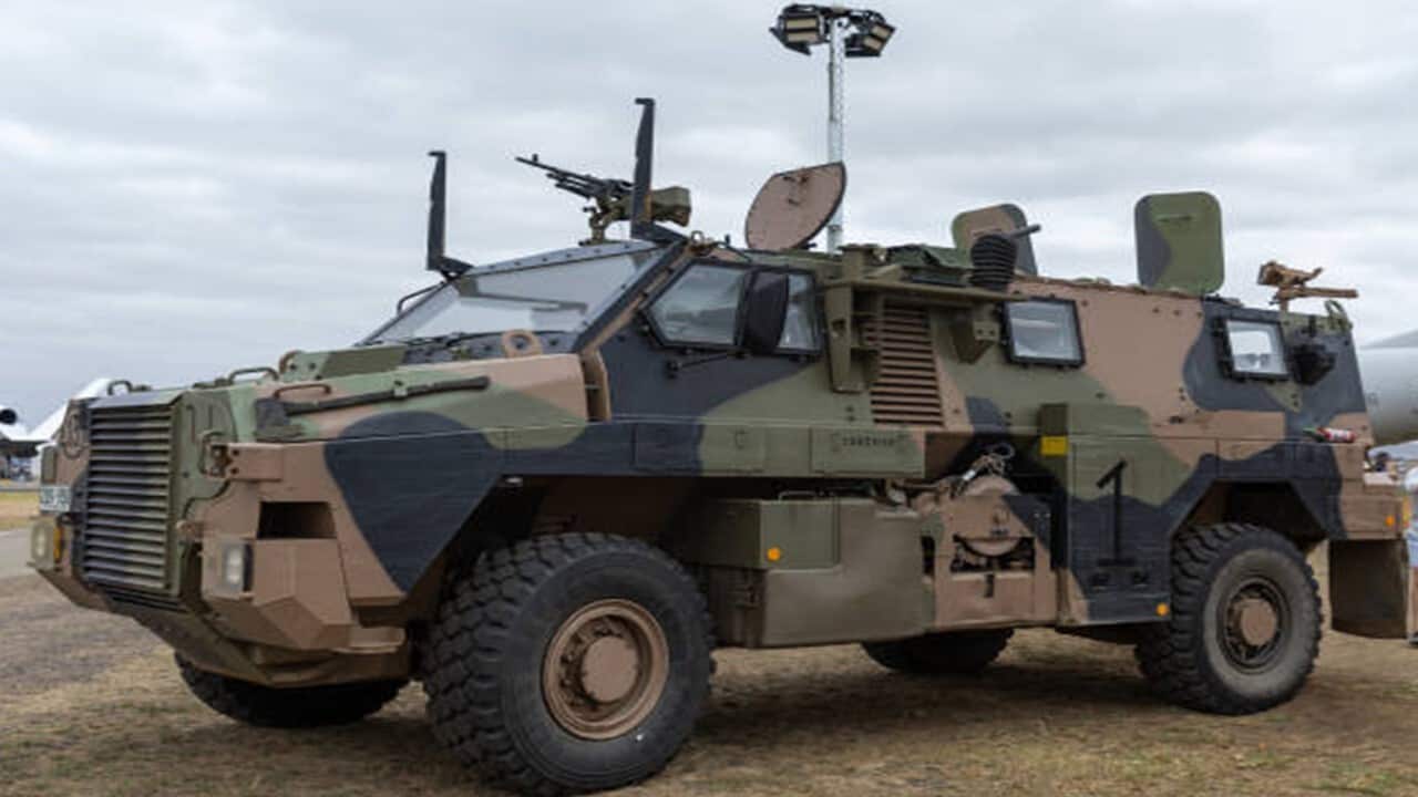 Bushmaster .jpg