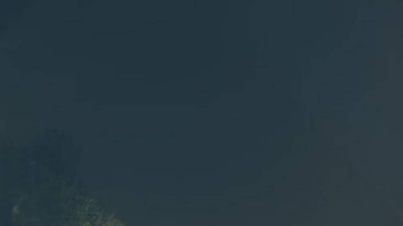 Image for read more article 'Other top stories on SBS Punjabi'