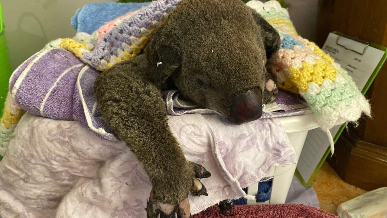 Image for read more article ''