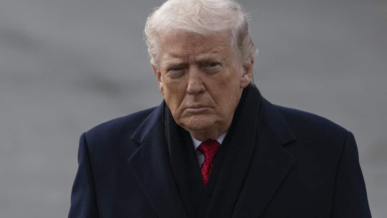 'We're talking to NATO' on Greenland: Trump