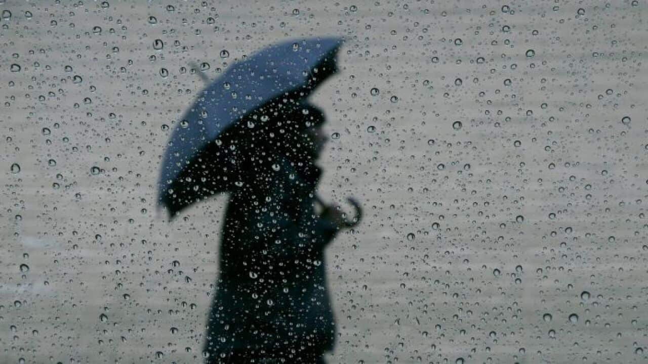 rain.jpg