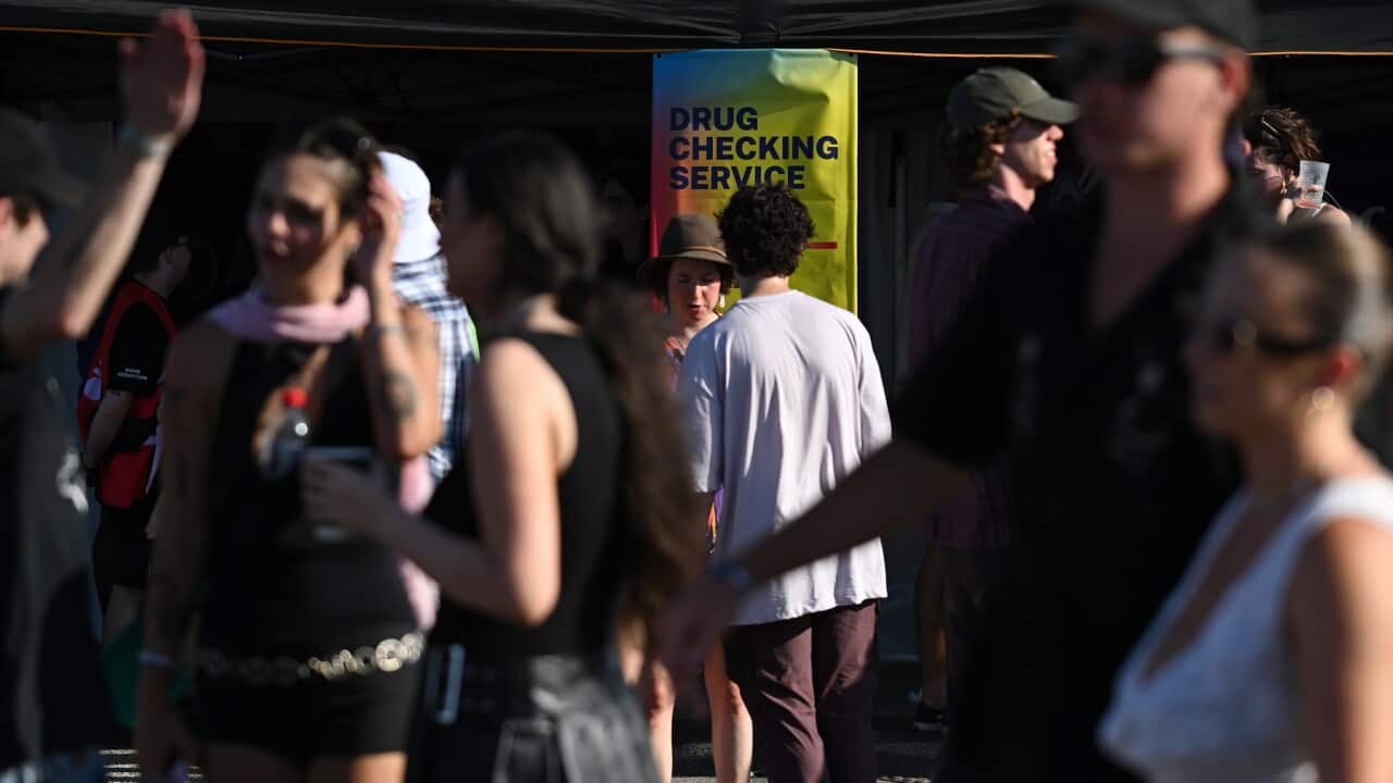 The pill testing trial site at the Yours and Owls Music Festival in Wollongong, in March (AAP)