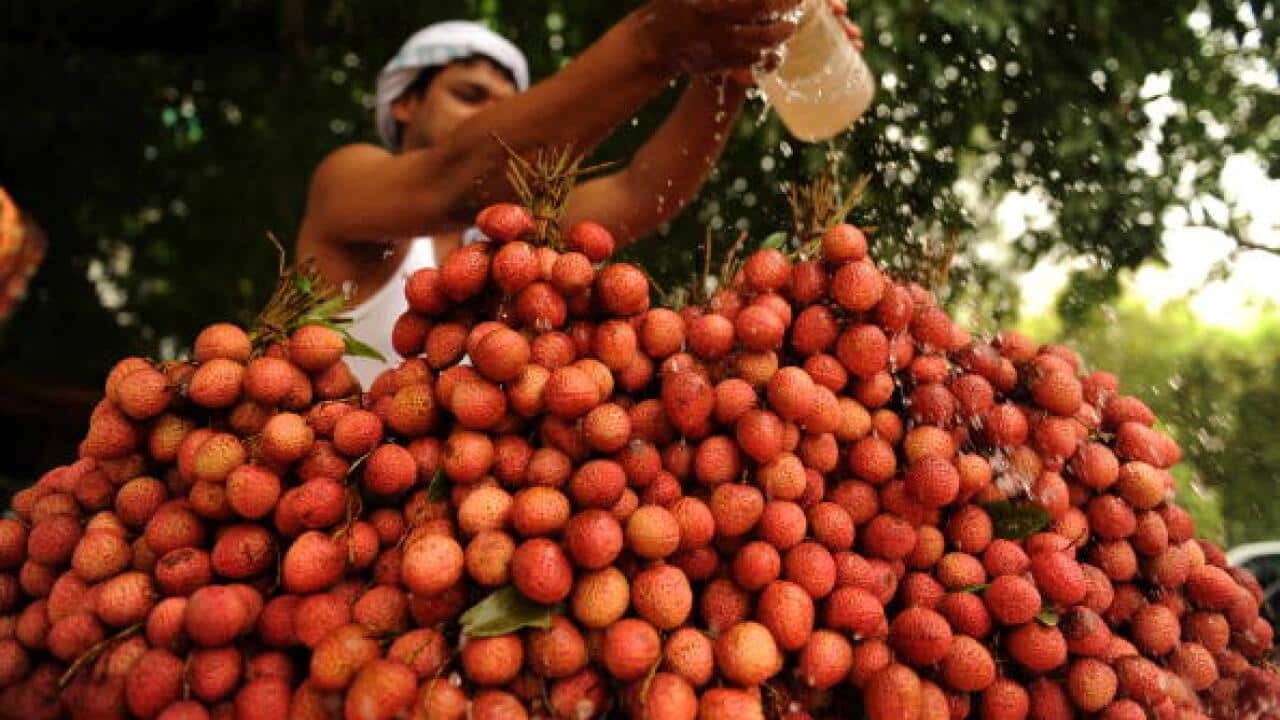 An Indian fruit seller pours water over lychees