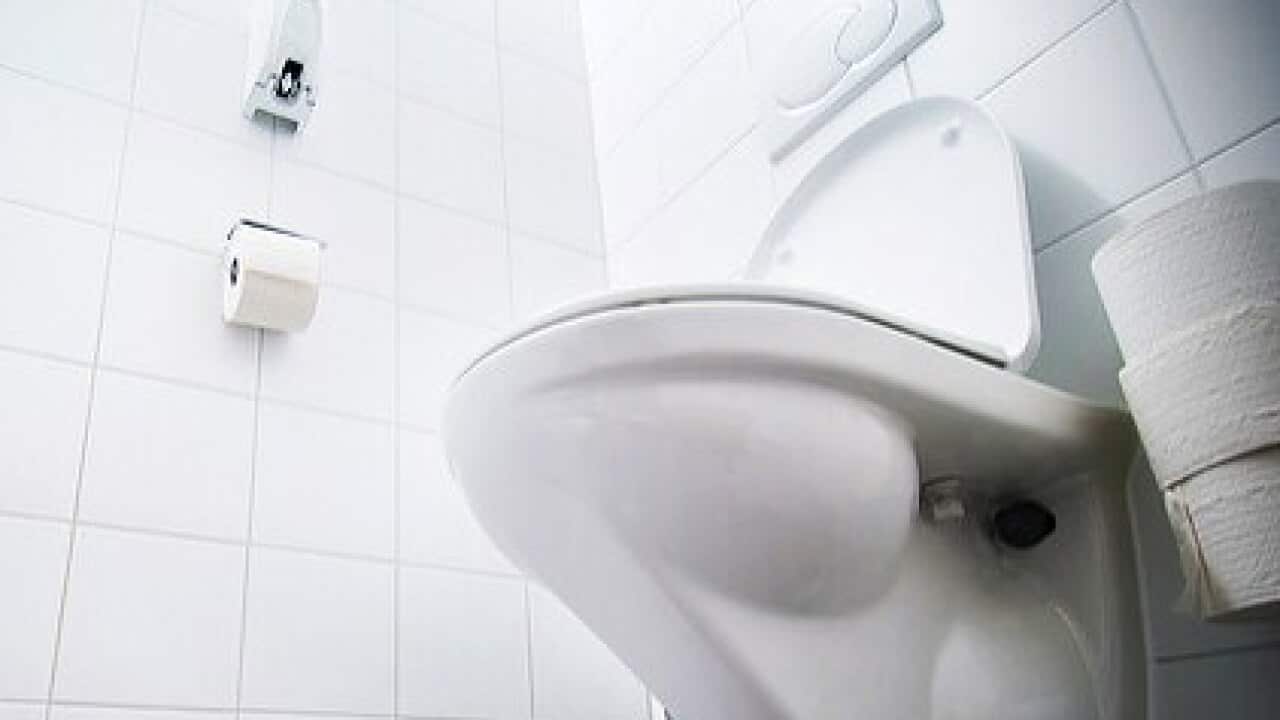 Even to the casual toilet bowl observers among us, the most obvious differentiating factor between stool forms is their water content.