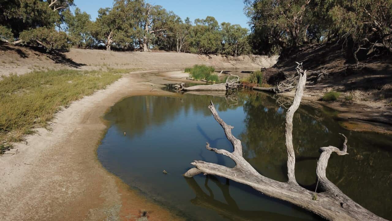 Diminishing water levels on the Darling River, near Menindee