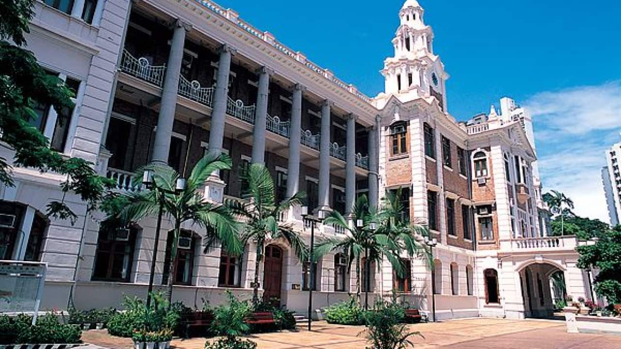 Tree management in Hong Kong under fire after falling branch fatal accident.