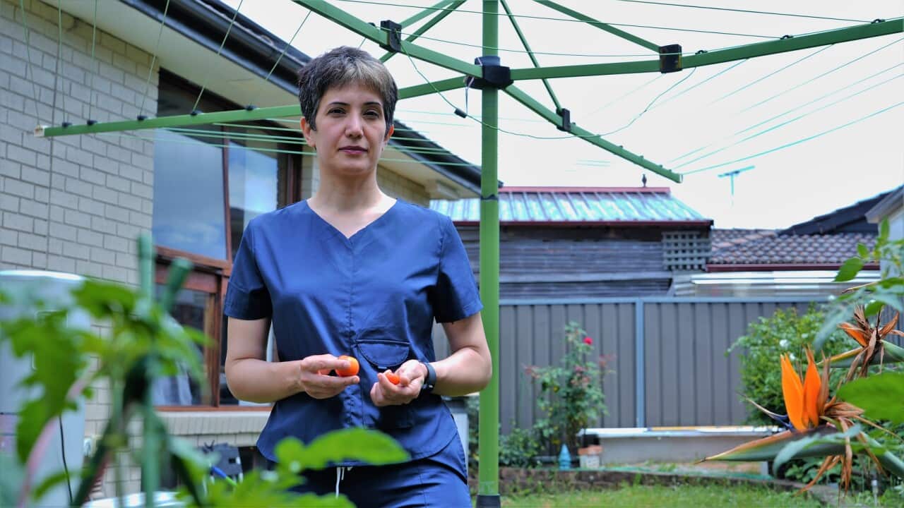 Sara Mashalian fled Iran from religious persecution.