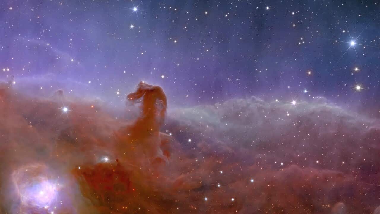 Stunning First Full-Colour Images From Euclid Telescope