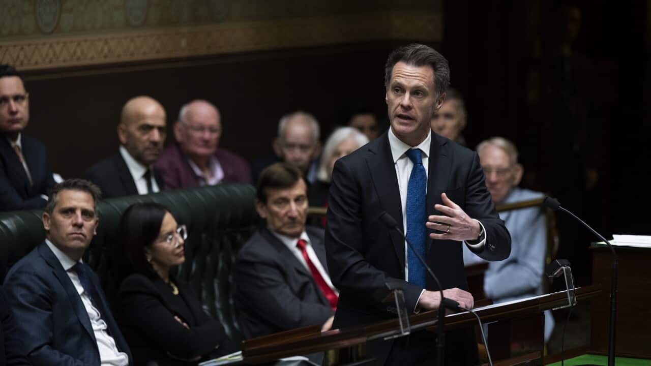 Premier Chris Minns and MPs are seen in the parliament chamber.