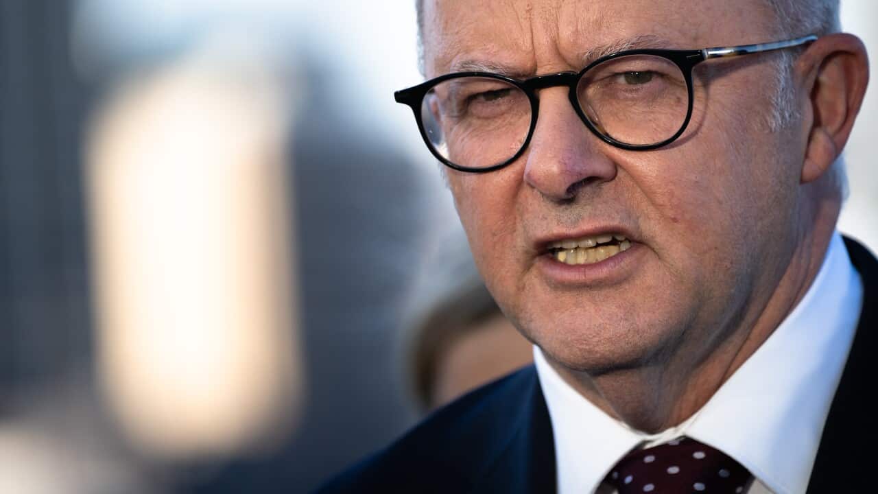 Prime Minister Anthony Albanese, wearing a suit, tie and glasses, is speaking.