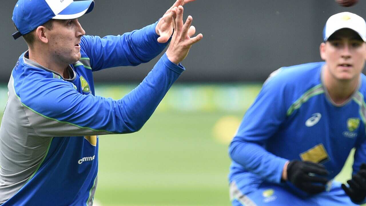 Nic Maddinson is seen in the as he practices fielding