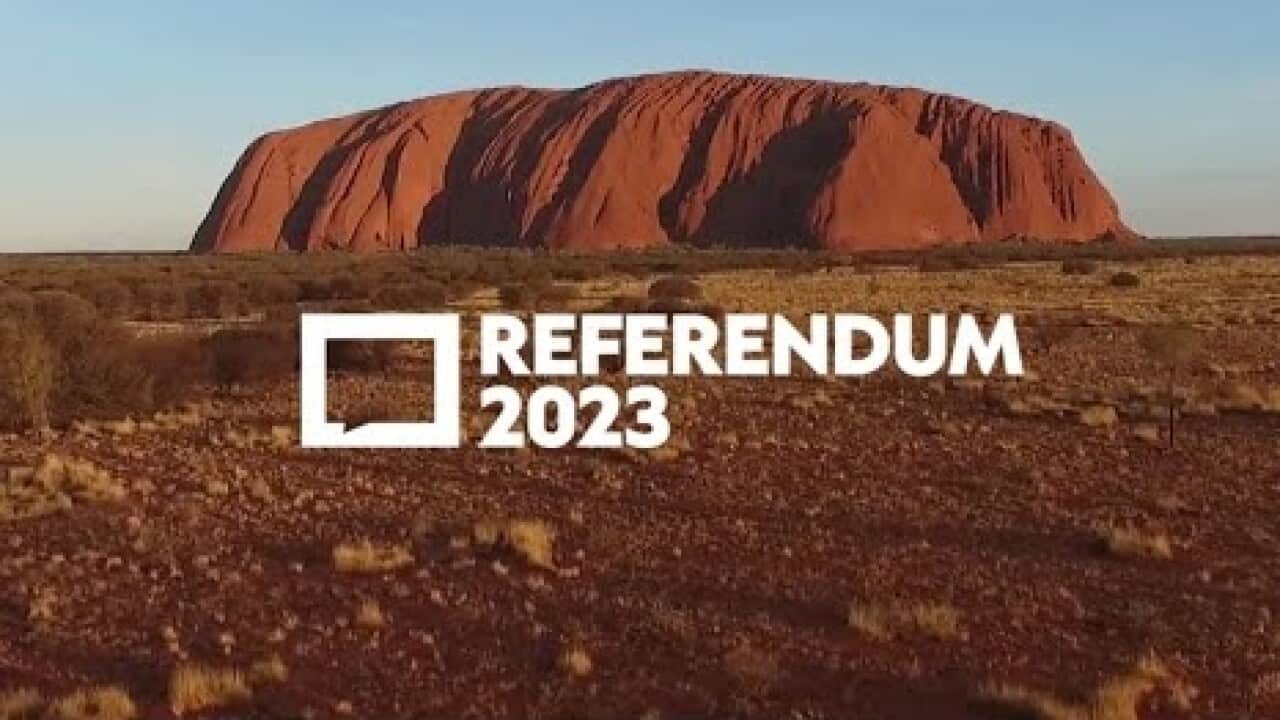 What is a referendum and how does it work?