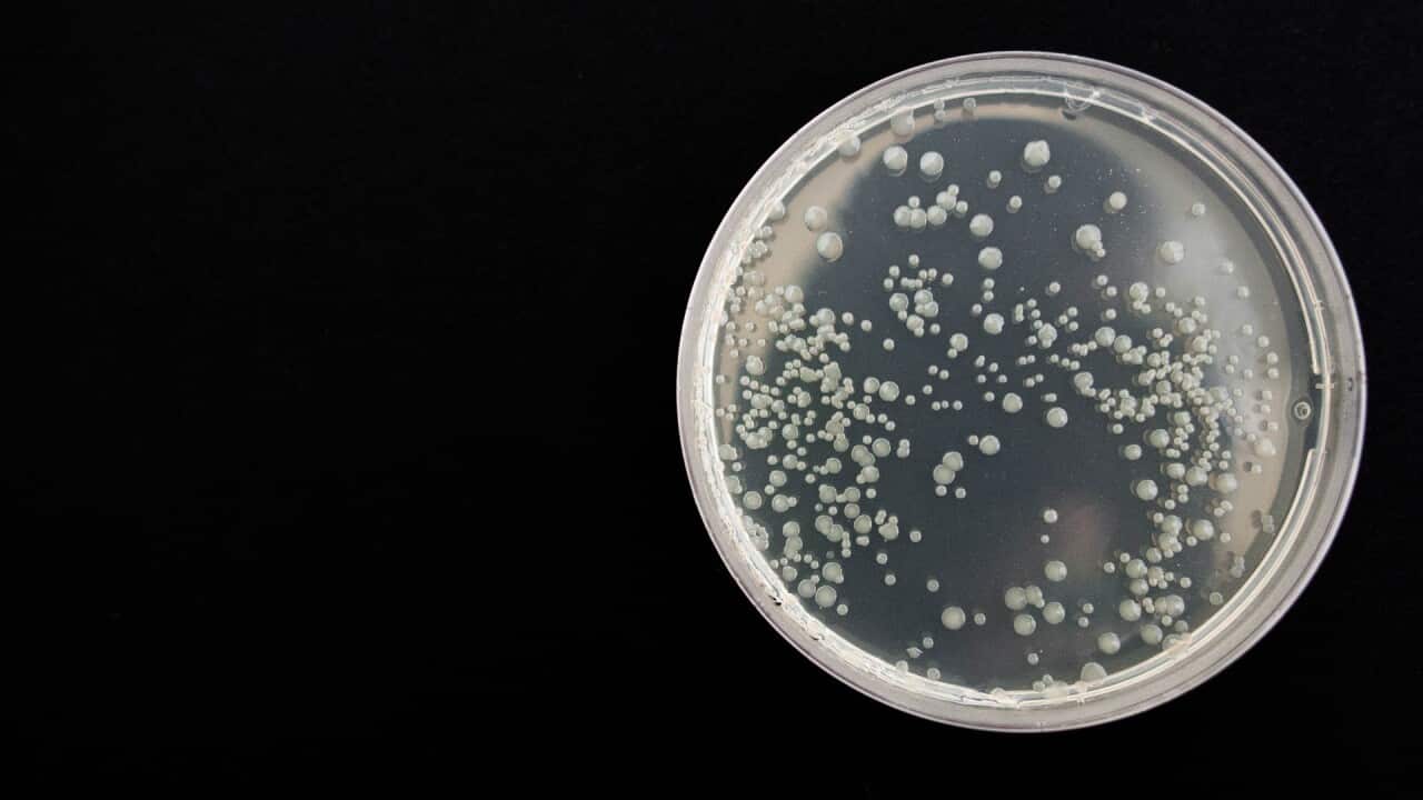 Image for read more article 'READ MORE'