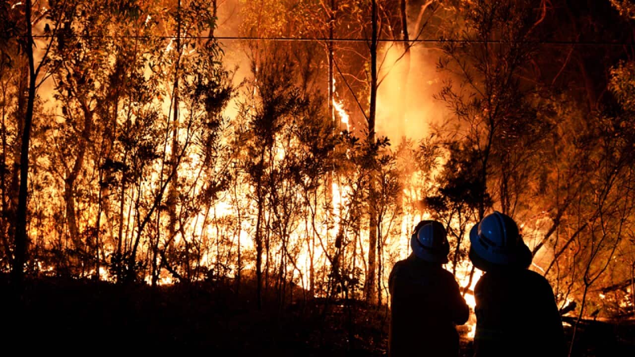 NSW RFS firefighters battle a bushfire burning close to homes.